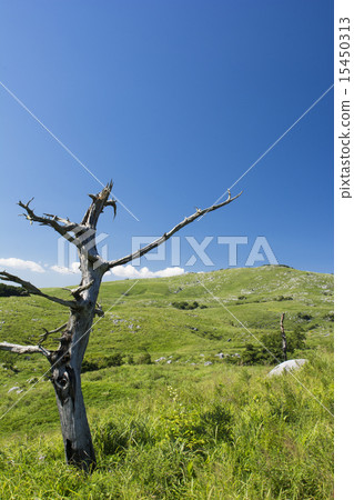 Hiraodai Hiraodai 15450313