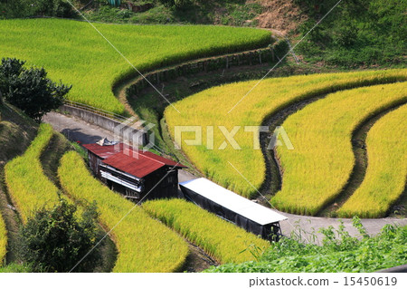 大阪的露台·Chihayakusaka村 15450619