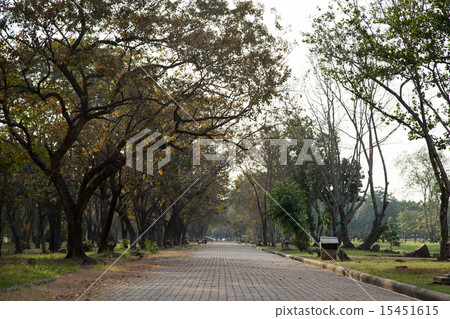 Walkways within the park. 15451615