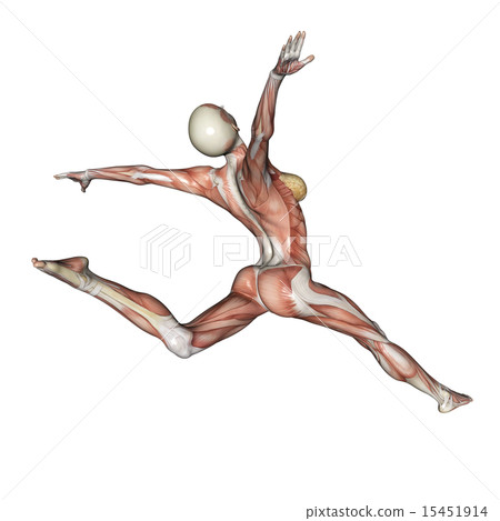 Muscle specimen posing woman perming 3DCG illustration material 15451914