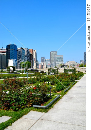 大阪中之島公園的風景 大阪中之島公園的風景 15451987