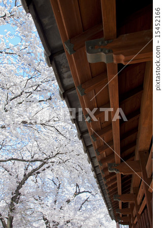 Yagawa River 16 15452166