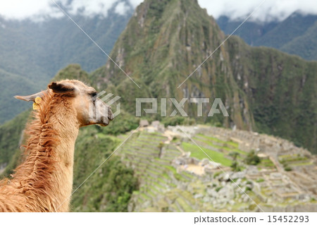 馬丘比丘 15452293