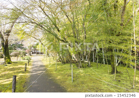 永城城鎮 永城城鎮 15452346