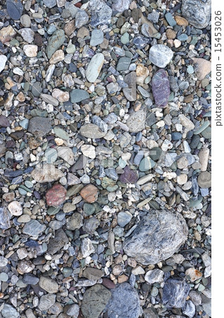 Ginkgo pebbles of the Ninodo River Ginkgo pebbles of the Ninodo River 15453026