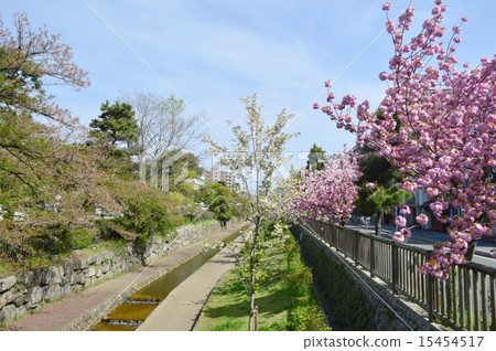 京都堀川通的風景 京都堀川通的風景 15454517