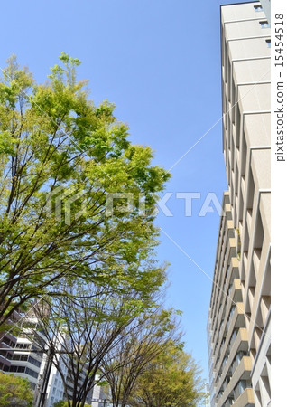 京都Oike海嘯風景 京都Oike海嘯風景 15454518