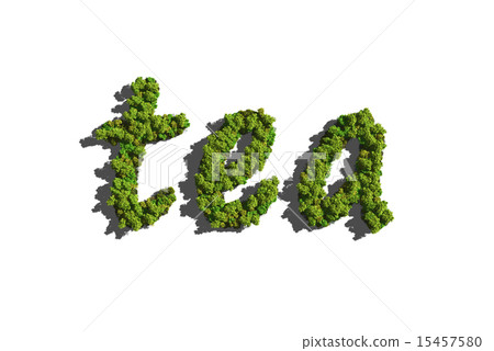 tea create by tree with white background 15457580