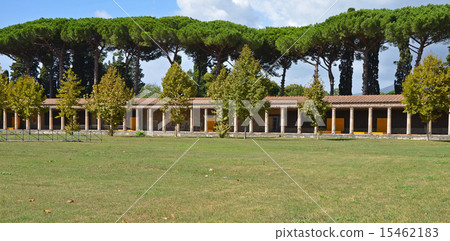 View of the Large Palaestra View of the Large Palaestra 15462183