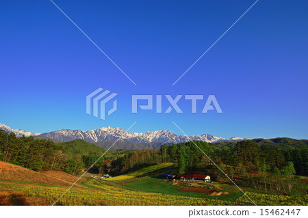 Nakayama plateau of Omachi city, Nagano prefecture 15462447