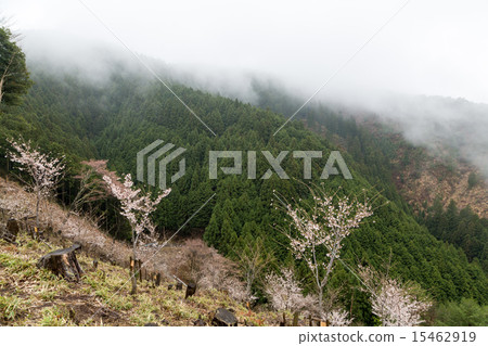 Oku no Mikoto Oku no Mikoto 15462919