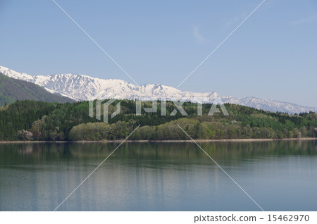 信州安曇野春天的青木景觀（白雪皚皚的白馬阿爾卑斯山） 15462970