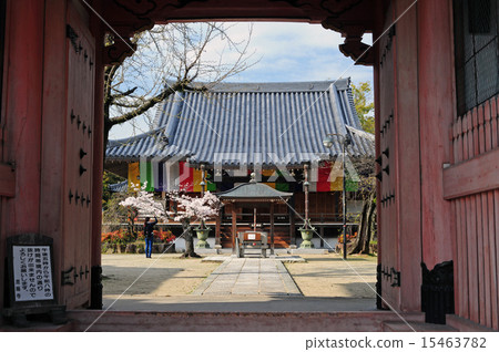 Koyoji - 10 Koyoji - 10 15463782