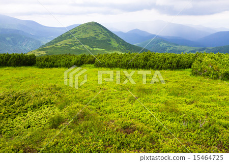 Mountains landscape 15464725
