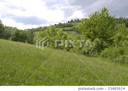Italy Bologna Billa Gidge 15465614