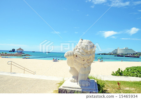 可愛的海血清 15465934