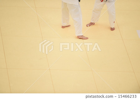 柔道和榻榻米 柔道和榻榻米 15466233