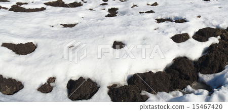 Spring field covered with snow. Spring field covered with snow. 15467420