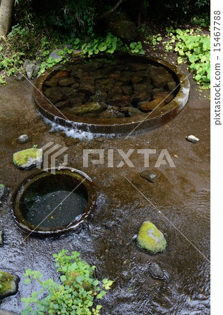 富士山的春天 15467788