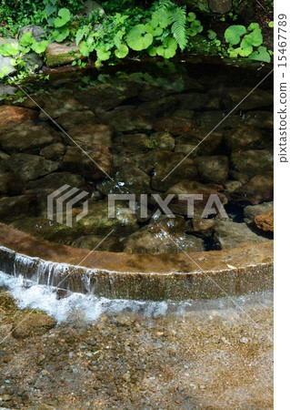 富士山的春天 15467789