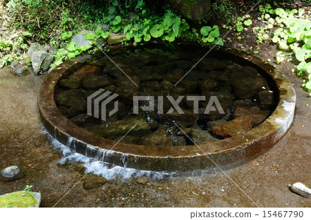 富士山的春天 15467790