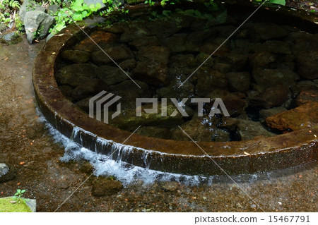 富士山的春天 15467791