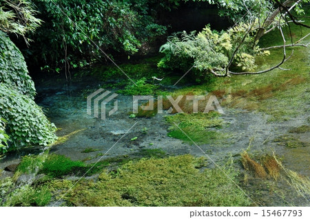 Kakita River Kakita River 15467793