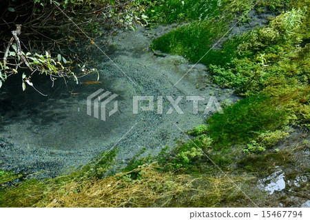 Kakita河 15467794