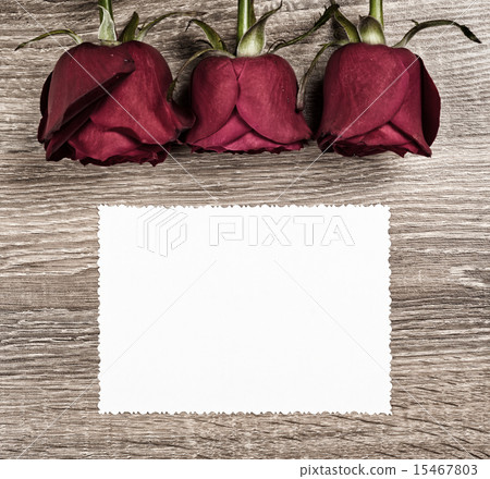 Red rose flower with blank sheet on wood 15467803