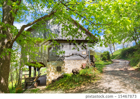 Hayrack and barn in Alpine enviroment, Slovenia 15467873