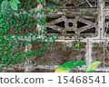 Grunge wall with green leafs 15468541
