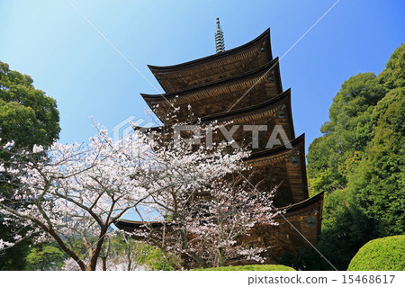 Yamaguchi prefecture Koshi Park 02 15468617