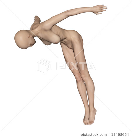 Muscle specimen Dive female Synthetic skin full nudity perming 3DCG illustration material 15468664