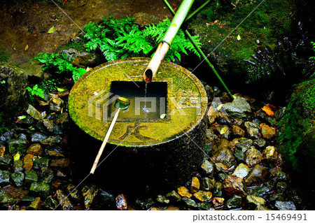 知識治療(龍安寺/京都) 知識治療(龍安寺/京都) 15469491