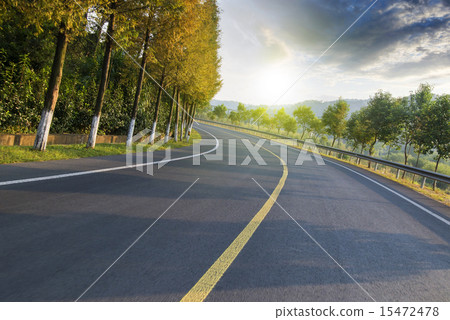 In the twilight of the forest road 15472478