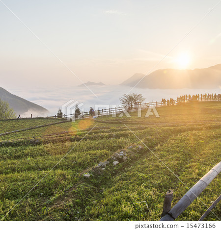Sunrise Mountain Scenic Corridor 15473166