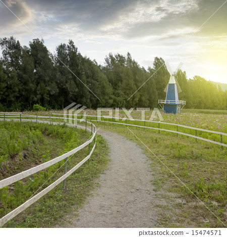 Cosmos wooden windmill Cosmos wooden windmill 15474571