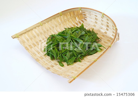 新茶 新茶 15475306