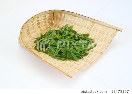新茶 新茶 15475307