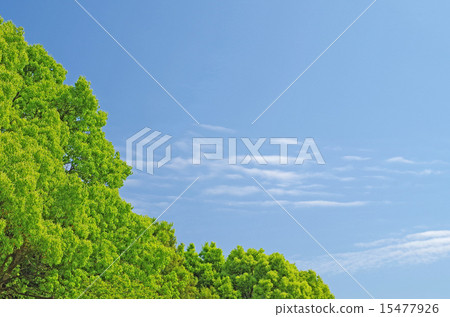 New green and blue sky (background material) New green and blue sky (background material) 15477926