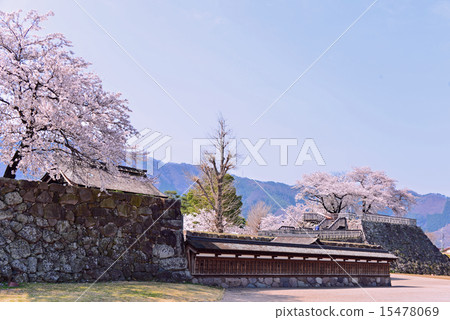 Matsushiro castle ruins in spring 15478069