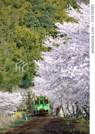 Spring Nishikigawa Railway 15478980