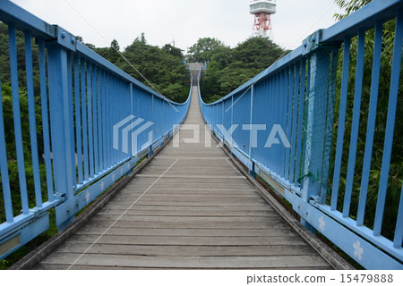 懸索橋 懸索橋 15479888