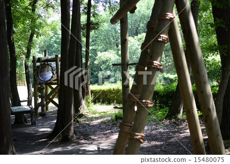  公園 15480075