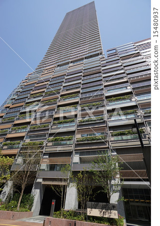 Toshima-ku的新市政廳 15480937