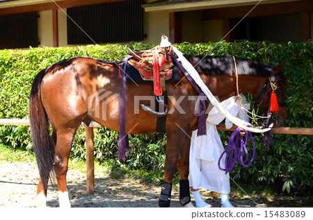 Kyoto Kamigamo Shrine Horse Racing Ceremony 15483089