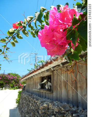 沖繩縣竹富島城市景觀 沖繩縣竹富島城市景觀 15483103