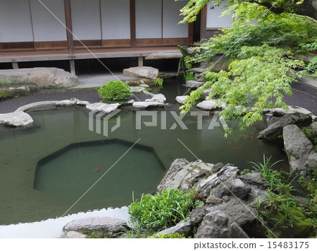 一個池塘 15483175