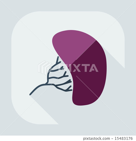 Flat modern design with shadow liver medical icon Flat modern design with shadow liver medical icon 15483176