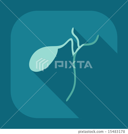 Flat modern design with shadow icons spleen Flat modern design with shadow icons spleen 15483178